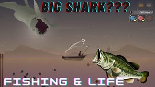 Fishing and Life Game | Big Shark Ahead? (IOS/Android) screenshot 3