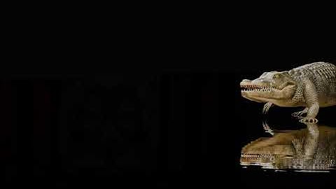 crocodile walk cycle