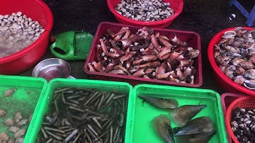 Tôm cá chợ long hải vũng tàu ngon tươi đủ cac loại .