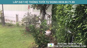 Lắp đặt béc phun mưa cánh đập tưới cỏ sân vườn biệt thự thep không gỉ cao cấp