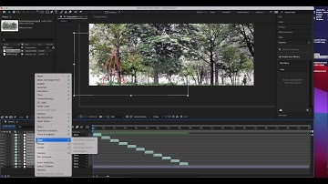 WalkCycle AfterEffects  part 3