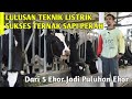 Peternakan Sapi Perah Modern Sistem Kandang Freestall | Gerimis Farm