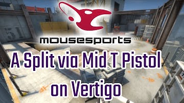 Mousesport