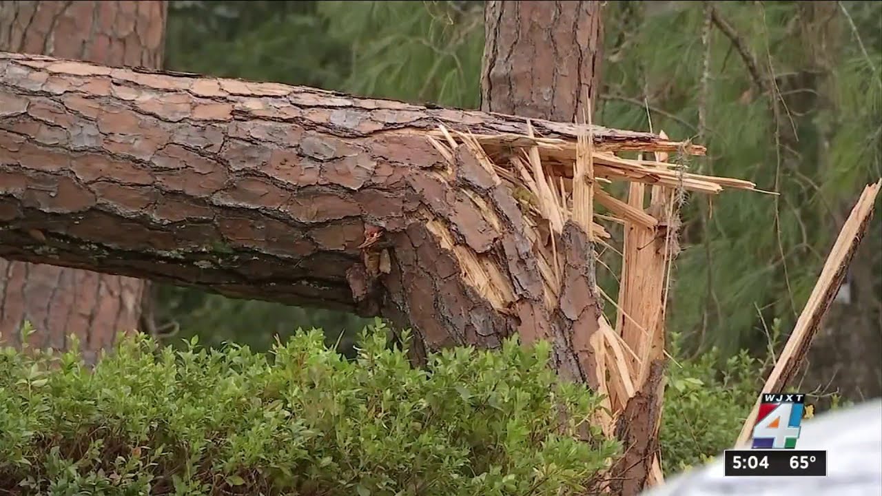 Cleanup underway after EF-1 tornado leaves damage in Starke - YouTube