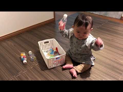 手作りマラカスで遊ぶの大好き🎵0歳7ヶ月 그녀는 수제 마라카스에서 노는 게 너무 좋아 🎵0세7개월 loves playing with handmade maracas0y&7ms#노노카