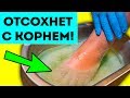 Грибок отсохнет с корнем! Возьми и намажь ноги этой обыкновенной…