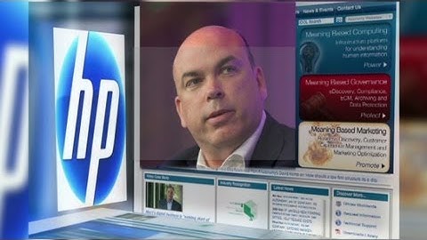 The HP-Autonomy merger: What went wrong?