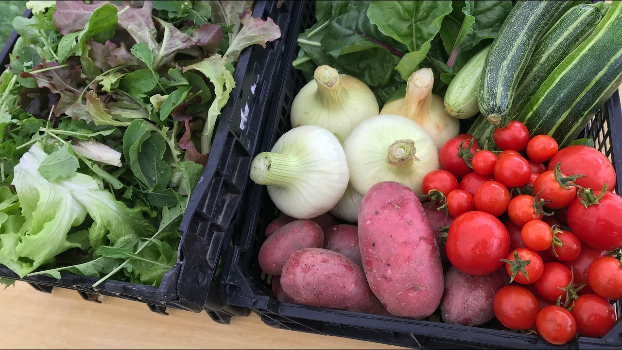 【自然栽培ライブ