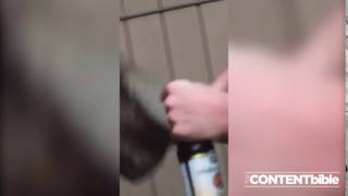 Opening a Bottle without a Bottle Opener | CONTENTbible