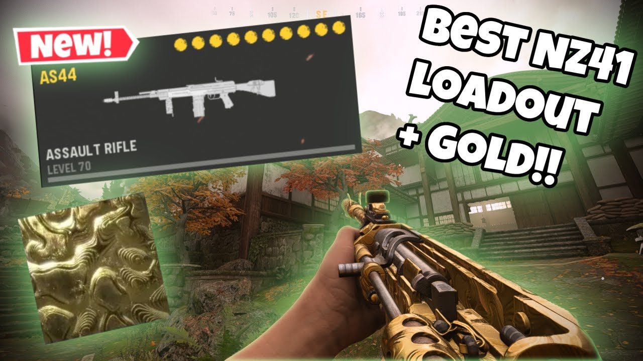 Best NZ41 Loadout + Gold! - COD Vanguard