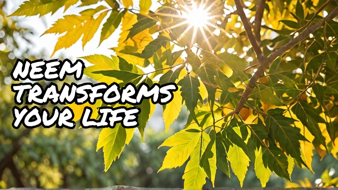 Amazing Neem You Won't Believe These 20 AMAZING Neem Benefits! - YouTube