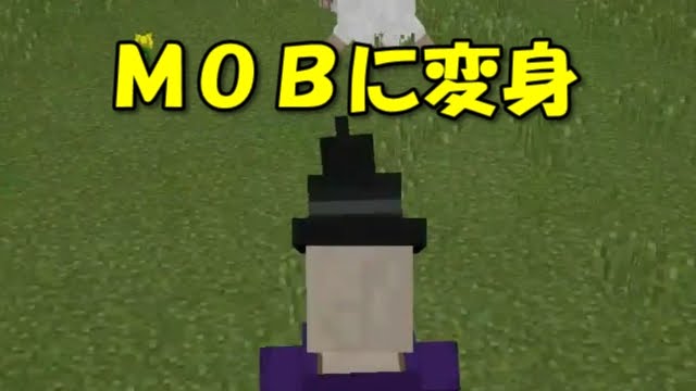 スイッチ マイクラ 変身mod