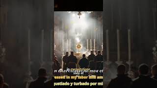 Ancient Monk Chants in Library: Unveiling Sacred Secrets #shorts
