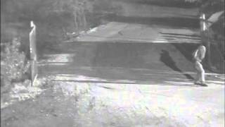 001F92005Db5 1 2012 10 23 20 14 12 544 15548