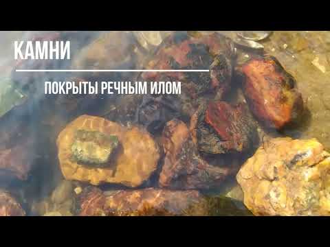 Какие красивые камни можно найти на дне реки Волги