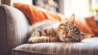 Calming Music for Anxious Cats: Soothing Sounds for Deep Relaxation and Sleep