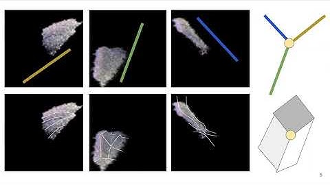 Mapping single cells to a 3D coordinate system via RNA transcripts