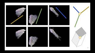 Mapping single cells to a 3D coordinate system via RNA transcripts