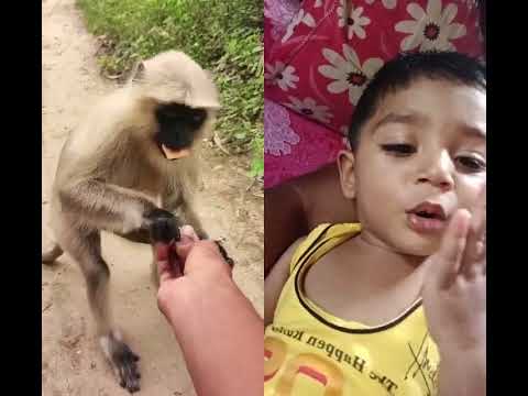 hanuman