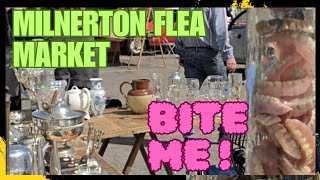 Milnerton Flea Market, Volume 2 | Cape Town | South Africa | Bite Into This!