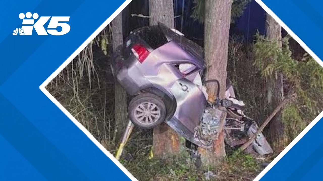 Driver arrested for DUI after crash near Olympia - YouTube