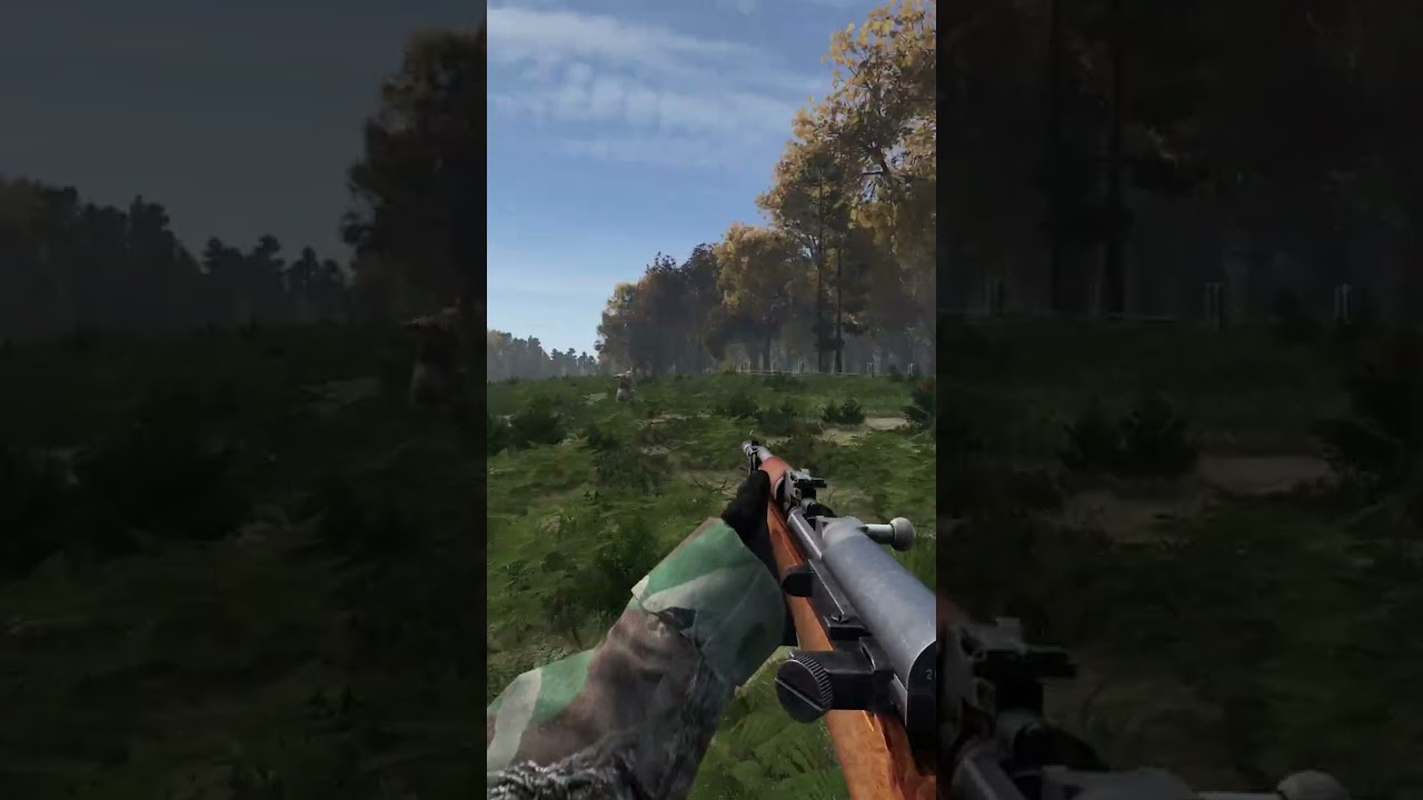 How would YOU react to this In DayZ?