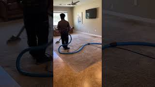 Zerorez® Carpet Cleaning Timelapse!