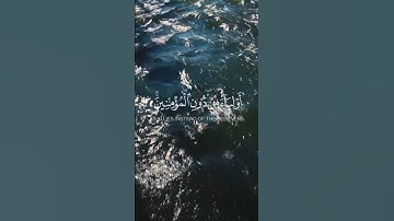 بشر المنافقين بأن لهم عذابا أليما / من سورة النساء #قرأن #ايات #اسلام #دين #ايات_قرانيه_قصيره