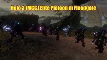 Halo 3 (MCC) Elite Platoon on Floodgate