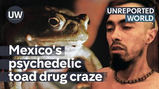 Can Mexicos psychedelic toad drug help mental health problems | Unreported World