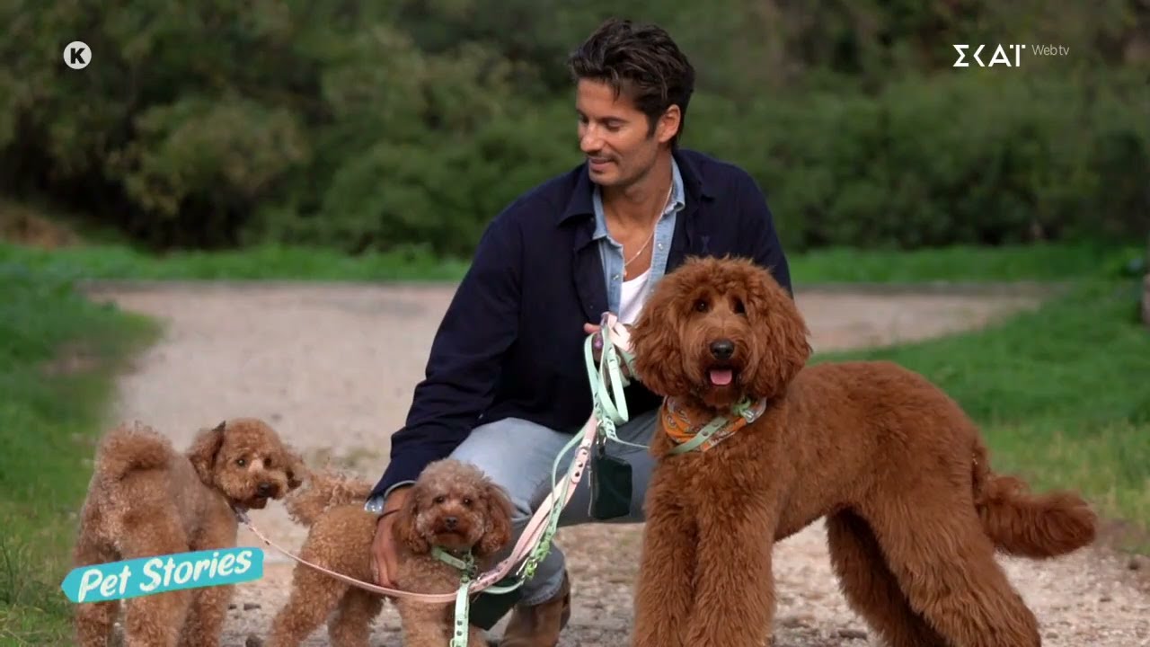 Ο Γιώργος Καράβας, ο Ζίνο, η  Φρέγια και ο Τσίκο στην παρέα μας | Pet Stories| 06/12/2025