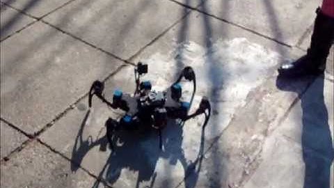 Phoenix Hexapod Robot 2