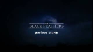 The Black Feathers | Perfect Storm Lyric Video