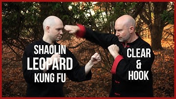 Shaolin Leopard Kung Fu Clear and Hook