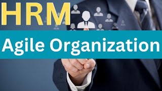 Agile Organization in Human Resources Management