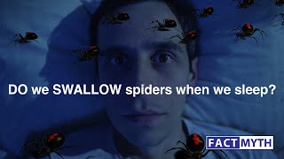 Do we swallow spiders when we sleep