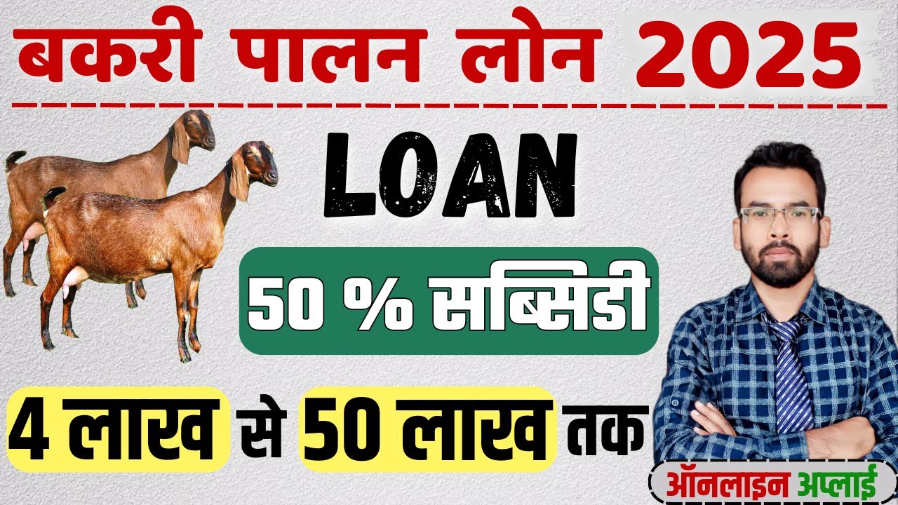 Bakri Palan Business Loan 2024 Goat Farming Loan RS 4 Lakh To 50 Lakh bakri-palan-business-loan-2024-goat-farming-loan-rs-4-lakh-to-50-lakh