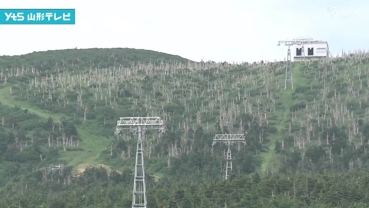 Public-private partnership to restore Zao's snow monsters; policy