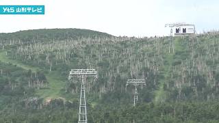 Public-private partnership to restore Zao's snow monsters; policy