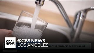 Study finds child behavioral problems linked to fluoride consumption by pregnant women