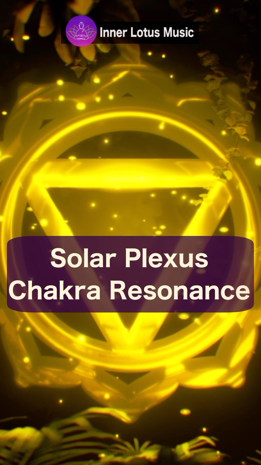 土信田裕介の「Solar Plexus System 」 土信田裕介の「Solar Plexus System 」 SOLAR PLEXUS SYSTEM