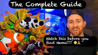 How to Care for a Clownfish (Everything You NEED to Know)