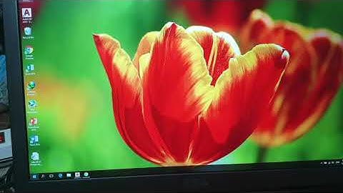 Cách tắt hoàn toàn thông báo giấy phép autocad không hợp lệ