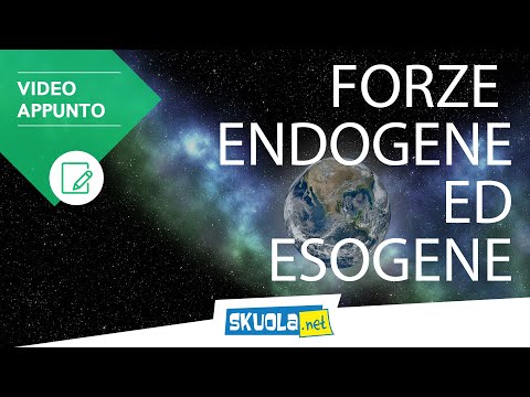 Video: Differenza Tra Antigeni Endogeni Ed Esogeni