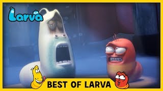 LARVA | BEST OF LARVA | Funny Cartoons for Kids | Cartoons For Children | LARVA 2017 WEEK 28