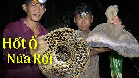 2 giờ khuya đi thăm LỜ trúng ổ TÔM CÀNG XANH về làm món đặc sản miền tây | Cldv #140