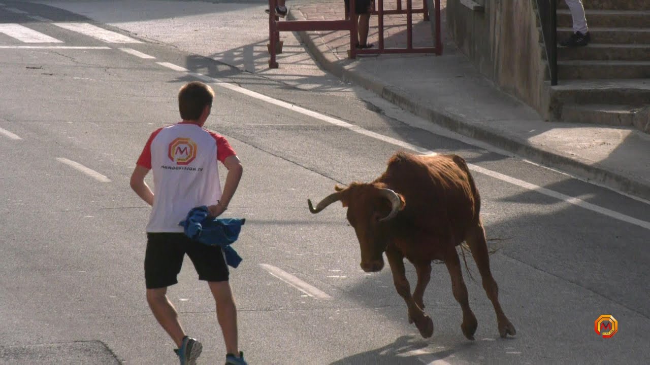 Tv Santacara - 16/09/2025 - Encierro Gan. Los Royos.