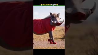 जानवरों के Gajab कारनामें 😂 wait for twist 🤣 #funny #animals #shorts