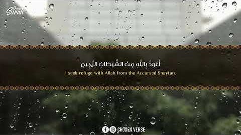 🔴 سورة الفجر /بصوت القارئ شريف مصطفى 🍂