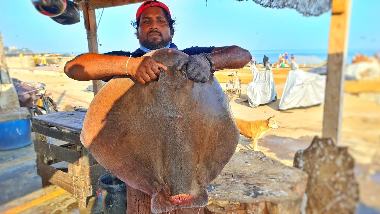 ⁣Stingray Fish Slicing Skills | Ray Fish Cutting | Mr.Sampath